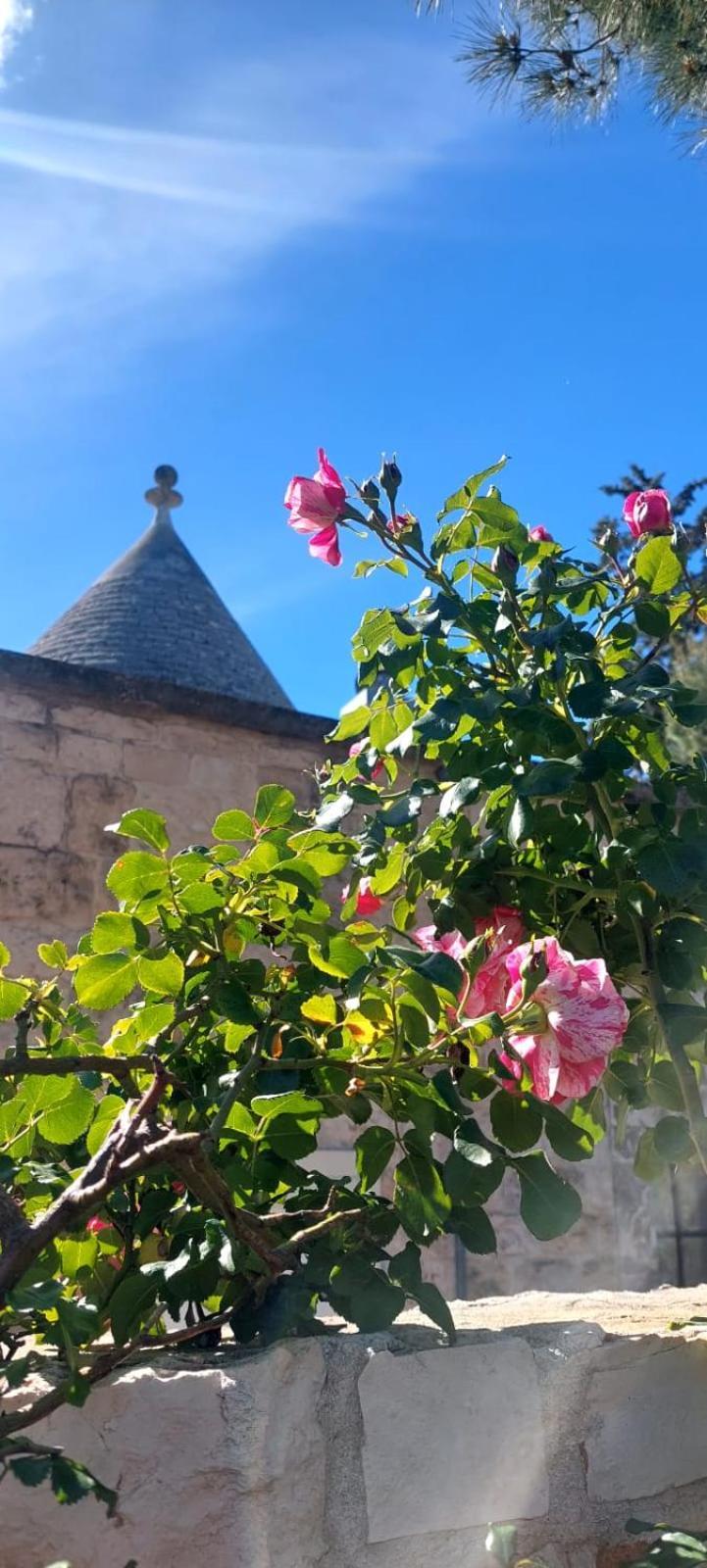 Il Trullo Delle Rose, Monopoli By Il Pumo Di Puglia Villa Cozzana Buitenkant foto